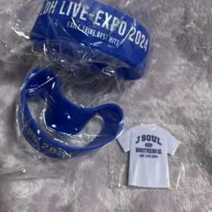 LDH LIVE EXPO 2024EXILE TRIBE ガチャ セット販売