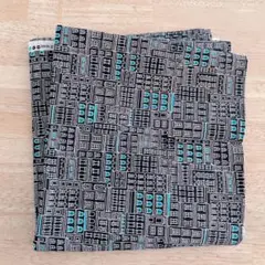 Item thumbnail for item 568e7a42-06a0-4eb2-b610-60e049b9e3fc