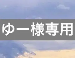 ゆー様 リクエスト 2点 まとめ商品