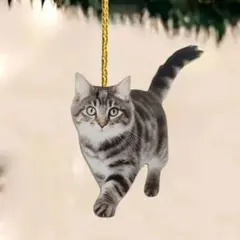 トモ様 リクエスト 2点 まとめ商品