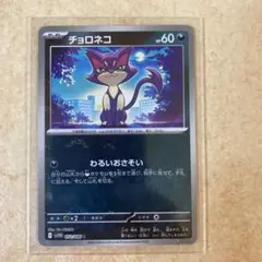 チョロネコ C スカーレット&バイオレット 拡張パック ホワイトフレア