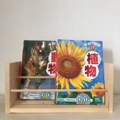 マガジンラック【6】ワイド　図鑑や辞典等も収納可能　雑誌スタンド　絵本収納　棚