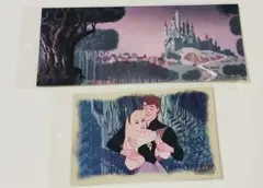 ディズニーアニメーションイマーシブエクスペリエンス 限定グッズ 眠れる森の美女