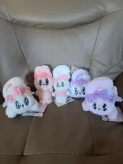 エスターバニー　セット