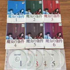 新品ケース付 逢いたい時にあなたはいない 全6巻セット 中山美穂