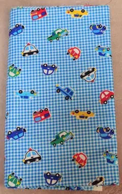 Item thumbnail for item 4e42c732-ef71-4255-b8e3-71e2ace5e8c8