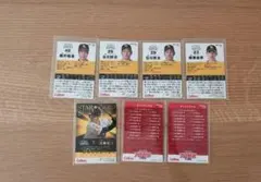 Item thumbnail for item 9d779336-b499-4d4a-8818-9515e7f330c7