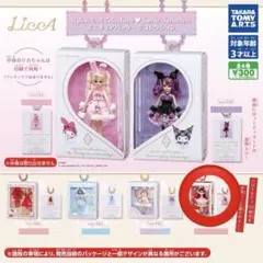 リカちゃん サンリオ ミニチュアパッケージコレクション