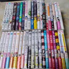 BLコミック25冊 まとめ売り - メルカリ