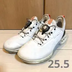 ecco エコーゴルフ BIOM C4 BOA 25.5 エコー　ゴアテックスのサムネイル