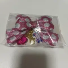 ミニーのファンダーランド パルパルーザ ミニパル キーチェーン シークレット