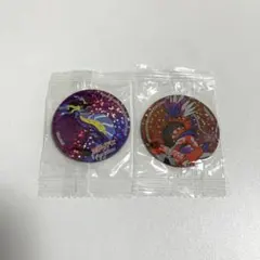 ポケットモンスター コライドン ミライドン マグネット