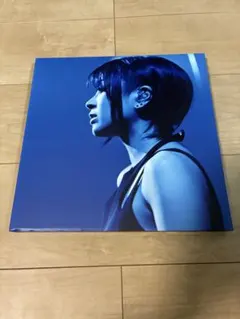 激レア 宇多田ヒカル 2018年開催国内ツアー Tシャツ L HIKARU UTADA NINE STORIES Tee [JOHN YUYI] – HIKARU UTADA Official