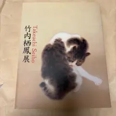 竹内栖鳳展 図録