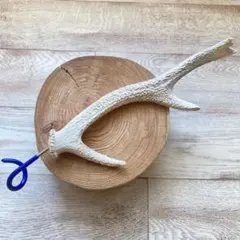 鹿の角ランタンハンガー 2本セット　NO.28 luvid鹿の角ランタンハンガースタンド その他インテリア雑貨