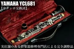 Item thumbnail for item 6f678c09-dc6d-429c-a5e8-efe533676e37