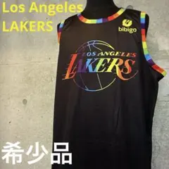 希少カラー美品 NBA レイカーズ ユニフォーム XL レインボー ビッグサイズ 希少カラー美品 NBA レイカーズ ユニフォーム XL レインボー ビッグ