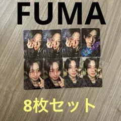 &TEAM Back to Lifeソロ盤　FUMA 8枚セット