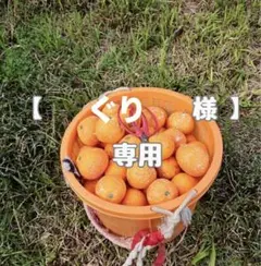 【ぐり 様】専用