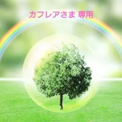 カフレア様 リクエスト 3点 まとめ商品