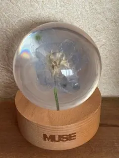 2026年最新】Jimin muse ペーパーウェイトの人気アイテム - メルカリ