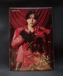 Lienel リエレット ポストカード ポスカ　武田創世