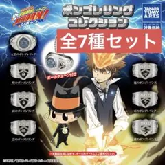 家庭教師ヒットマンREBORN ボンゴレリングコレクション 全7種セット