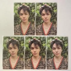 SEVENTEEN バーノン Heaven 2:14 花冠 封入 トレカ 5枚