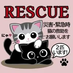 Item thumbnail for item 8cc69698-14d4-4724-af03-747daecd4e29