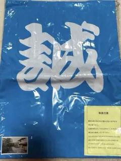 Item thumbnail for item 20e48906-8f57-4fd3-a864-d686deb30957