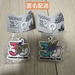 ポケモン30周年 メタルチャームマスコット ザシアン ザマゼンタ