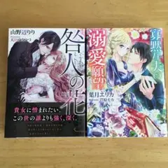 咎人の花　2冊セット tl小説 文庫