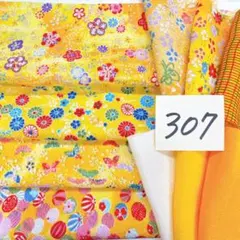 307 残り2