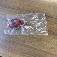 仮面ライダー めじるしアクセサリー3 インパクトカプセム