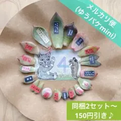 2025年最新】おらいさん リンゼアナ実生の人気アイテム - メルカリ