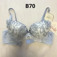 トリンプ　プレミアム　モールドカップ　ブラジャー　B70