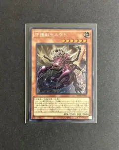 セルケト シークレット 1枚