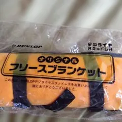 懸賞当選品 ジョージア コンパクトペアチェア コンパクトチェア - メルカリ