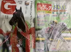 競馬ブック ギャロップ