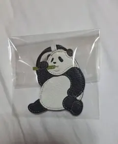 イビザ チャーム