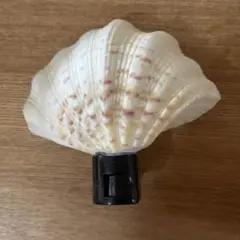 シェルランプ