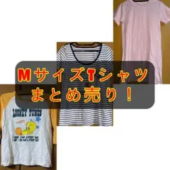 【早い者勝ち】Mサイズ Tシャツ3枚セット