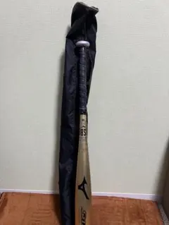 Item thumbnail for item 457d20c8-2933-4724-b921-0a7f62bd13cf