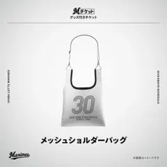 千葉ロッテマリーンズ　 メッシュショルダーバッグ