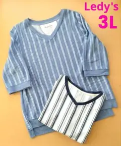 5分袖 Tシャツ