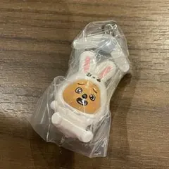 Stray Kids SKZOO スキズ　キーホルダー つまんで ガチャ ハン