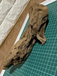 Item thumbnail for item 1ee7b1b2-e32d-4c3f-9264-a46619220a4c