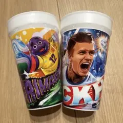 マクドナルド FIFAワールドカップ限定2個セット（ベッカム / グリマス）