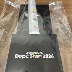 パラライ ペンライト 2024