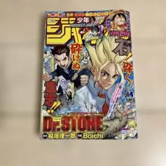 週刊少年ジャンプ 2022年3月14日13号 Dr.STONE 表紙 巻頭カラー - メルカリ